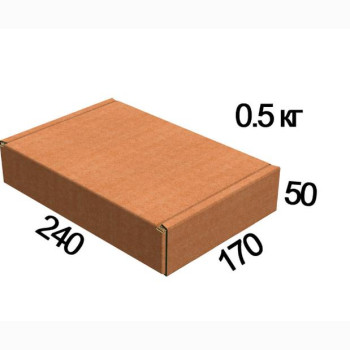 Коробка картонна (240мм × 170 × 50/0,5кг)